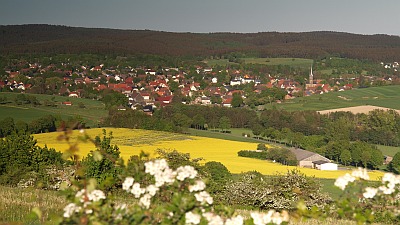 schwaney_klein